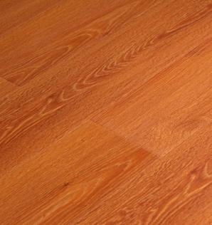 311美國(guó)紅橡